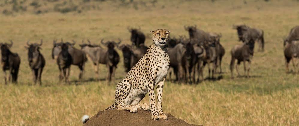Hotel Mahali Mzuri Maasai Mara Exteriér fotografie