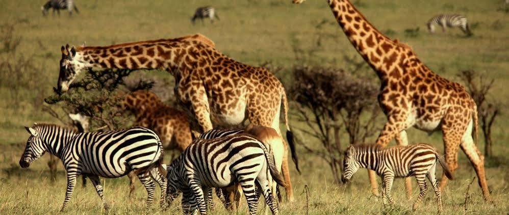 Hotel Mahali Mzuri Maasai Mara Exteriér fotografie